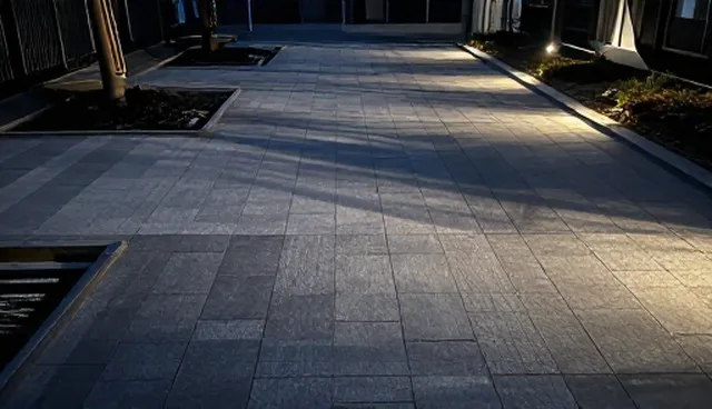 生态修复工程养护周期的选型与维护建议